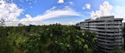 Sora (D22), Apartment #570692991